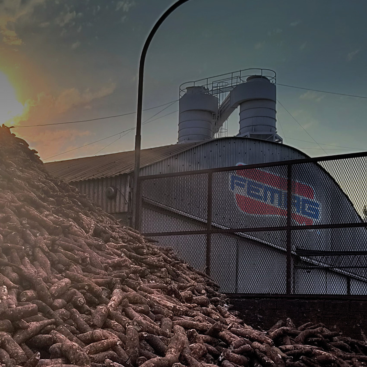 Planta FEMAG en Capioví, Misiones